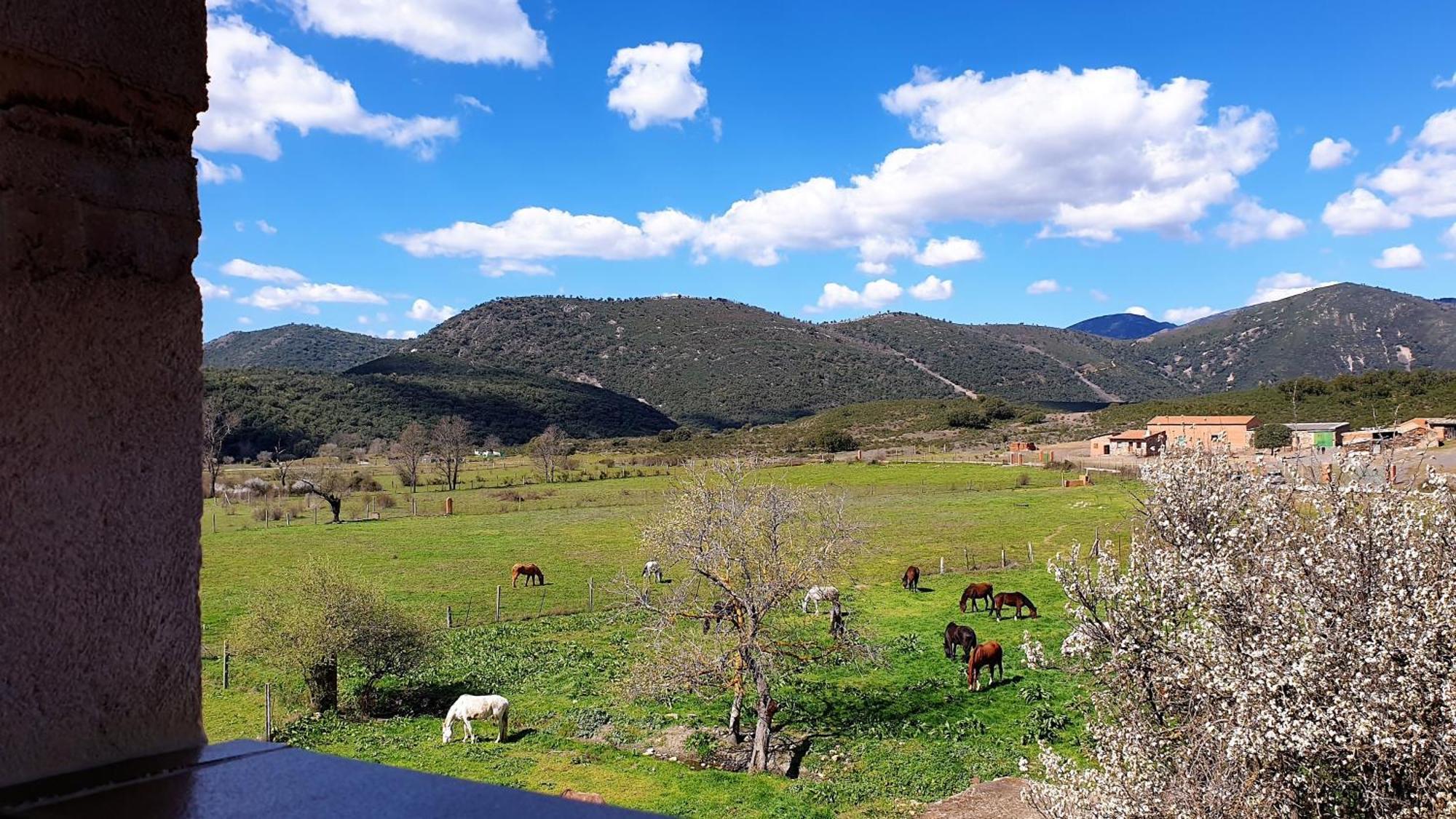 Casa Con Piscina En Parque Nacional De Cabaneros Navas de Estena Eksteriør bilde
